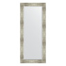 Зеркало настенное с фацетом EVOFORM в багетной раме алюминий, 66х156 см, BY 1190