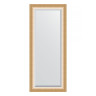 Зеркало настенное с фацетом EVOFORM в багетной раме травленое золото, 66х156 см, BY 1191