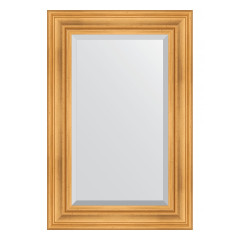 Зеркало настенное с фацетом EVOFORM в багетной раме травленое золото, 59х89 см, BY 3418