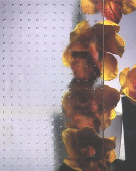 Дверь в душевой проем Vegas Eolo 2P 75