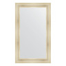 Зеркало настенное EVOFORM в багетной раме травленое серебро, 72х122 см, BY 3220