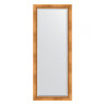 Зеркало напольное с фацетом EVOFORM в багетной раме римское золото, 81х201 см, BY 6117