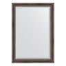 Зеркало настенное с фацетом EVOFORM в багетной раме палисандр, 71х101 см, BY 1194