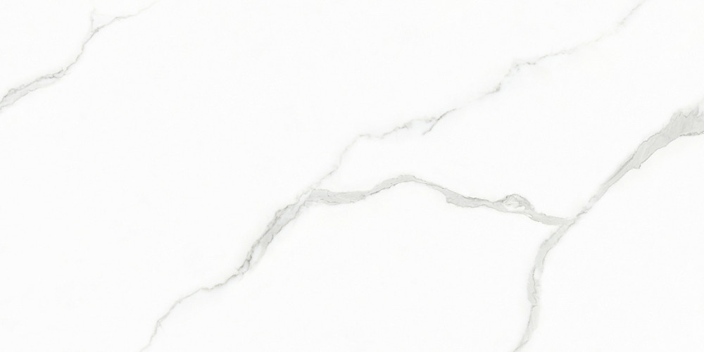 Плитка керамогранитная Creo Ceramique WHITE CARARRA 60х120 Glossy 3 шт. в упакрвке (GJT612670)