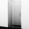 Душевая дверь в нишу WasserKRAFT Berkel 48P12 100х200