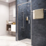 Душевая дверь в нишу WasserKRAFT Berkel 48P12 100х200