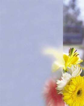 Дверь в душевой проем Vegas Eolo P 85