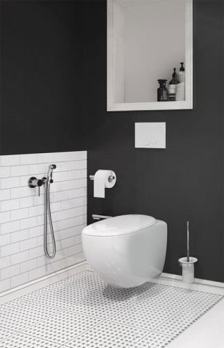 Гигиенический душ со смесителем Kludi Bozz хром (389990576)