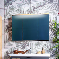 Зеркальный шкаф Бриклаер Форест 100 4627125414725 с подсветкой Дуб золотой Антрацит