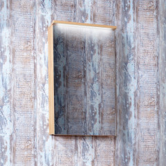 Зеркальный шкаф Бриклаер Форест 40 4627125414695 с подсветкой Дуб золотой Антрацит