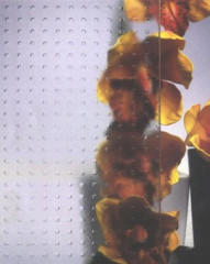 Дверь в душевой проем Vegas Zeus P 120