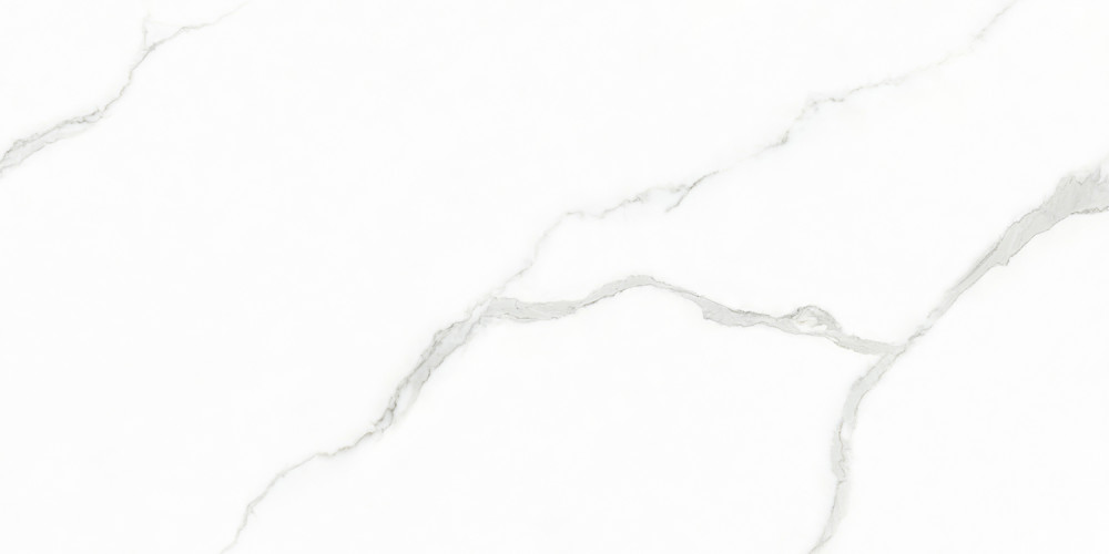 Плитка керамогранитная Creo Ceramique WHITE CARARRA 60х120 Glossy (GJT612670)