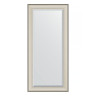Зеркало настенное с фацетом EVOFORM в багетной раме травленое серебро,78х168 см, BY 1306