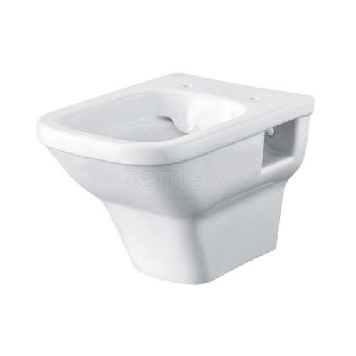 Унитаз подвесной Santek Лайн rimless