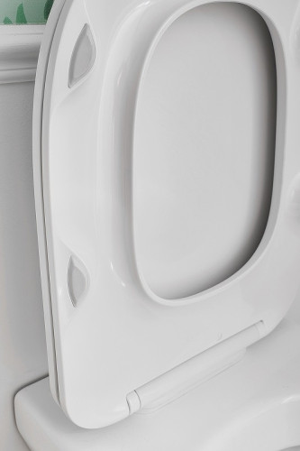 Унитаз подвесной Jacob Delafon Modern Life безободковый с креплениями в комплекте, белый (E77725-0)