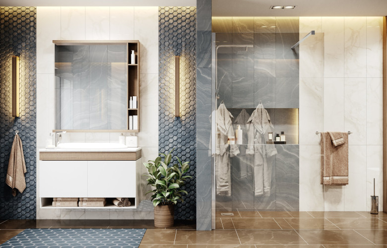 Душевая перегородка Ambassador Walk-in 15031103 (1100x2000)