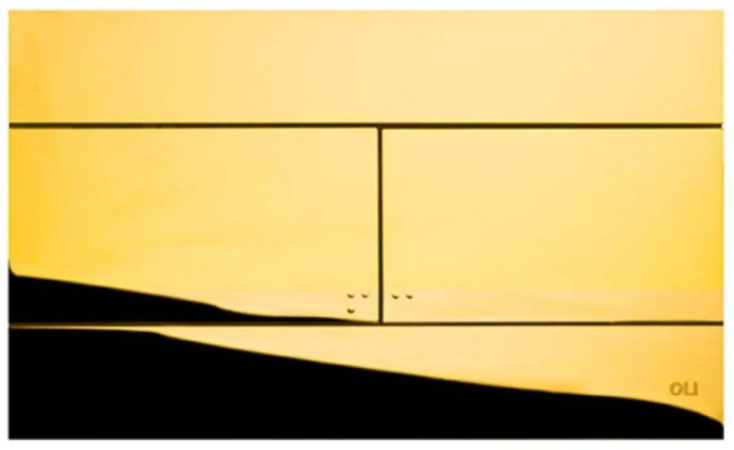 Кнопка смыва Oli 25.5х0.6х15 , пластик, цвет Золото (154962)