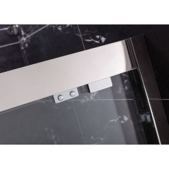 Душевая дверь Royal Bath RB-F-2011-1200 120