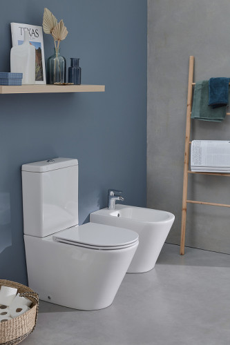 Чаша напольного унитаза Jacob Delafon Rodin+ белый (UJAB102-00)