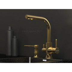 Смеситель для кухни Paulmark ESSEN, золото, 213011-G, Paulmark