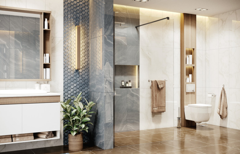 Душевая перегородка Ambassador Walk-in 15031110 (1000x2000)