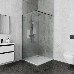 Душевая перегородка Ambassador Waik-in 15031112 (1200x2000)