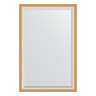 Зеркало настенное с фацетом EVOFORM в багетной раме травленое золото, 116х176 см, BY 1221