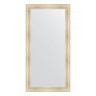 Зеркало настенное EVOFORM в багетной раме травленое серебро, 82х162 см, BY 3348