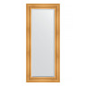 Зеркало настенное с фацетом EVOFORM в багетной раме травленое золото, 64х149 см, BY 3548