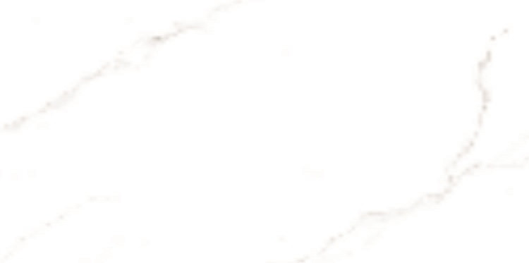 Керамогранит LIONI White Glossy 60x120