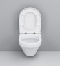 Унитаз AM PM Inspire C501738WH подвесной