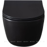 Чаша подвесного унитаза Allen Brau Priority 4.31002.31 00301321 чёрный