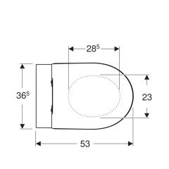 ICON T54 Унитаз подвесной, безободковый с сиденьем тонкое, быстросъем. с микролифтом (500.784.01.1)