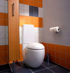 Чаша напольного унитаза Laufen ALESSI ONE (8.2297.6.400.000.1)