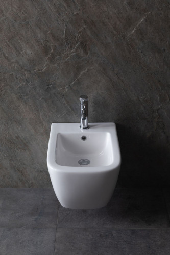 Биде подвесное Allen Brau Infinity 4.21006.20