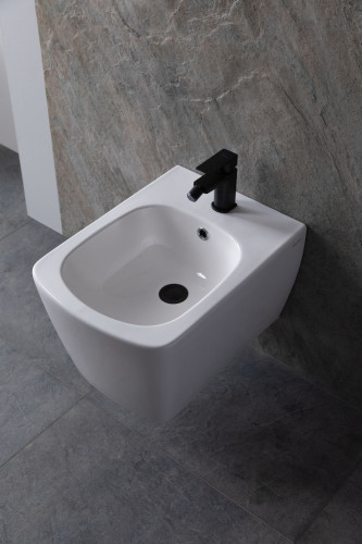 Биде подвесное Allen Brau Liberty 4.33005.20