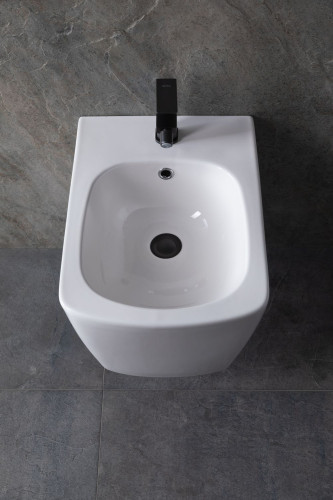 Биде подвесное Allen Brau Liberty 4.33005.20