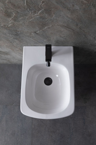 Биде подвесное Allen Brau Liberty 4.33005.20