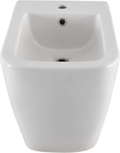 Биде приставное Allen Brau Infinity 4.21005.20