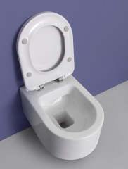 White Ceramic Tao, подвесной безободковый унитаз 53x38x32,5h см, в комплекте с крепежом и сиденьем микролифт WC108S-SL, цвет белый глянцевый