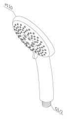 Душевая лейка AM PM Like F0280000