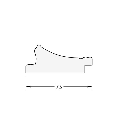 Зеркало настенное с фацетом EVOFORM в багетной раме медный эльдорадо, 54х114 см, BY 1243