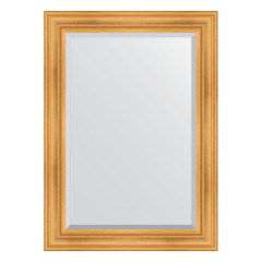 Зеркало настенное с фацетом EVOFORM в багетной раме травленое золото, 79х109 см, BY 3470