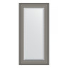 Зеркало настенное с фацетом EVOFORM в багетной раме хамелеон, 56х116 см, BY 1245
