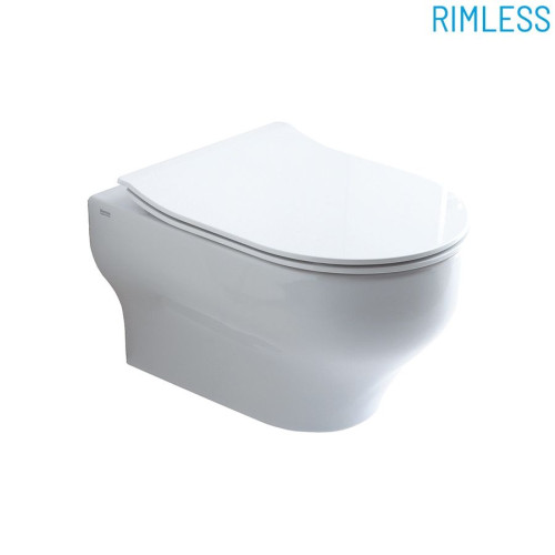 Olympia Clear, подвесной безободковый унитаз c крепежом, 50x36 см, цвет белый матовый