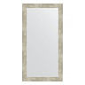 Зеркало настенное EVOFORM в багетной раме алюминий, 54х104 см, BY 3076