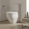 Унитаз напольный, комбинированный (чаша) Laufen PRO RIMLESS, белый (8.2595.2.000.231.1)