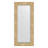 Зеркало настенное с фацетом EVOFORM в багетной раме состаренное серебро с орнаментом, 72х162 см, BY 3584