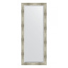 Зеркало напольное с фацетом EVOFORM в багетной раме алюминий, 81х201 см, BY 6181