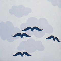 Штора для ванны Ridder Helgoland 200х180